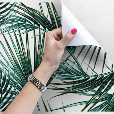 Fotobehang Paradijsgroene palmbladeren